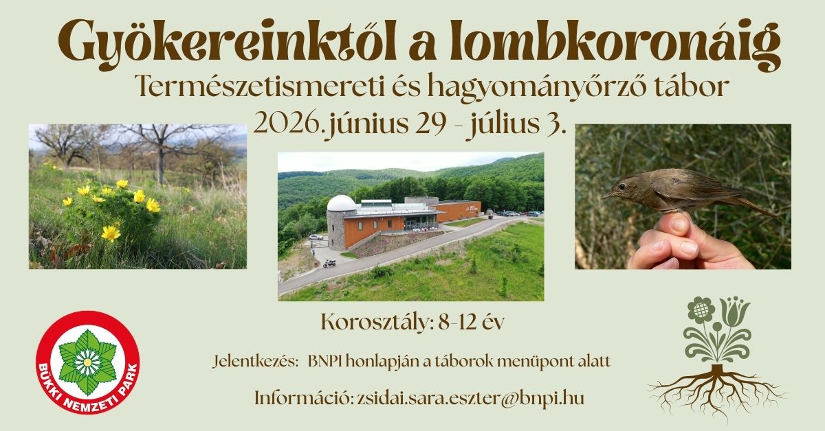 Gyökereinktől a lombkoronáigPlakát.jpg